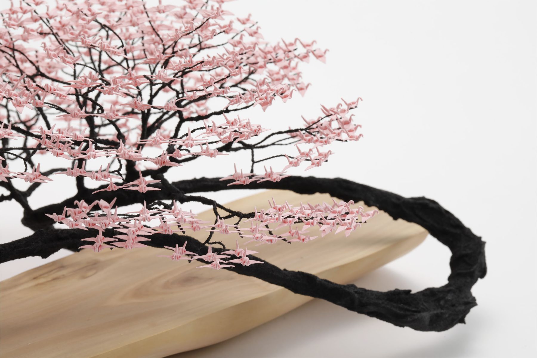 鴇 小野川直樹 公式特設サイト